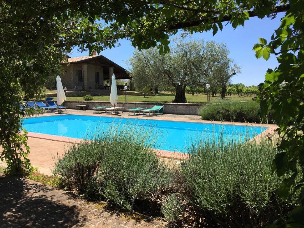 Agriturismo Eco-Bio Villa Vacasio Pitigliano Extérieur photo